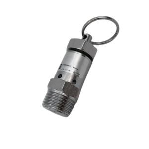  Stainless Steel MNPT Threaded Pressure Regulating Valve