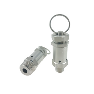 Staineless Steel 100 PSI MNPT Pressure Relief Valve